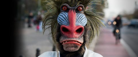 Henkilö, jolla on realistinen, värikäs paviaaninaamari, jossa on liioitellut kasvonpiirteet, seisoo kaupungin kadulla, ja taustalla on sumeat ihmiset ja pyöräilijät.