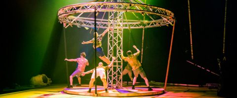 Viisi värikkäisiin asuihin pukeutunutta sirkustaiteilijaa pyörii ja roikkuu suuressa metallisessa rengasrakenteessa dramaattisen keltaisen ja vihreän näyttämövalaistuksen alla luoden dynaamisen ja energisen kohtauksen.