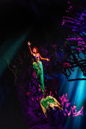 Helsingin Kaupunginteatteri - Pieni merenneito - Kuvaaja: Robert Seger