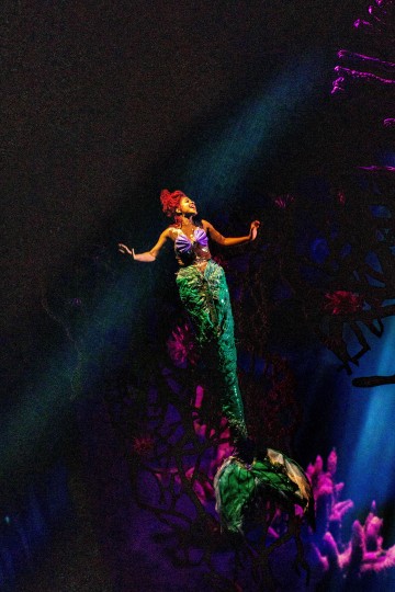 Helsingin Kaupunginteatteri - Pieni merenneito - Kuvaaja: Robert Seger