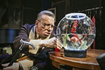 Helsingin Kaupunginteatteri – Forever Young – Kuvassa Pertti Koivula – Kuva Otto-Ville Väätäinen